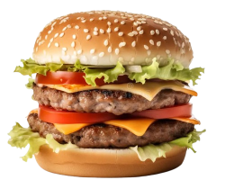 MEAL BURGER, 1PC CHICK, FRIES & BEEF/CHICKEN BURGER - ZAFA